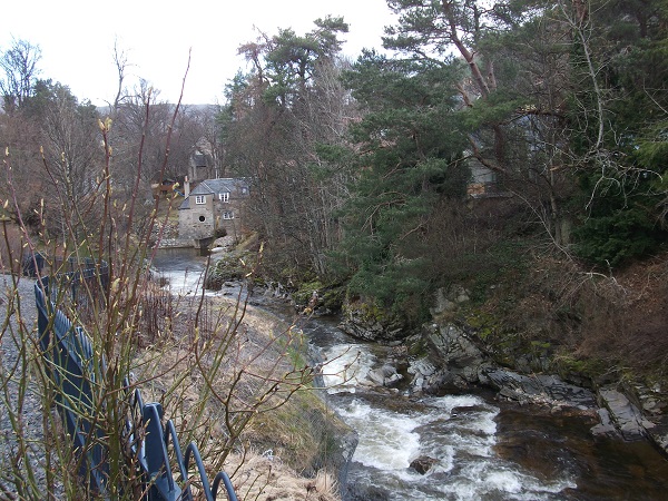 The River Dee surrounded by trees